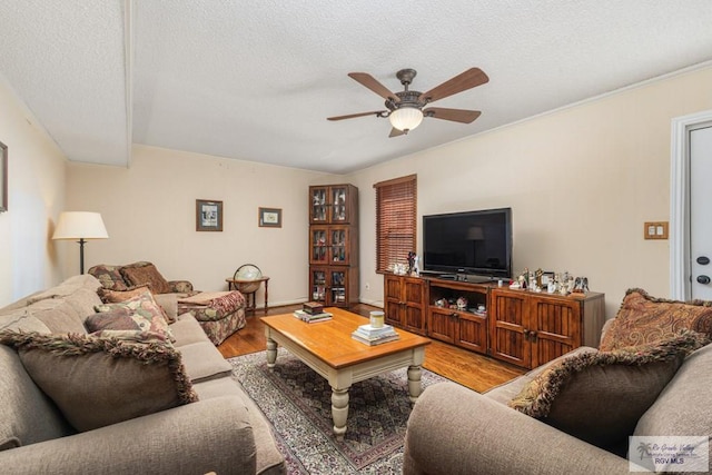 living room featuring ceiling fan, a textured ceiling, and light wood-type flooring