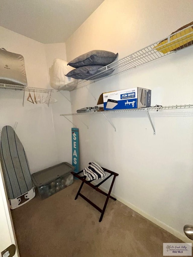 spacious closet with carpet