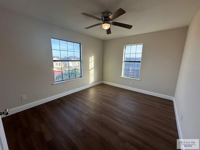 468 Toronja Ave, Brownsville, TX 78521 - photo 9