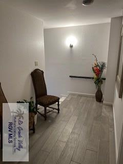 living area featuring light hardwood / wood-style flooring