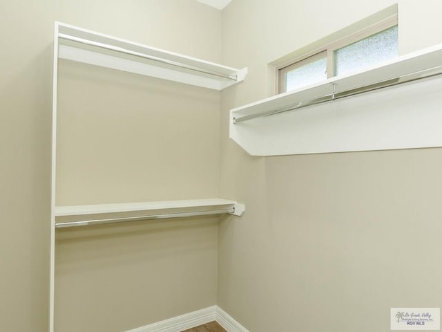 view of walk in closet