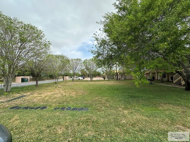 4810 Boca Chica Blvd, Brownsville, TX 78520 - view of yard