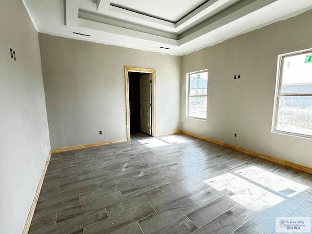 unfurnished room featuring a raised ceiling, hardwood / wood-style floors, and a healthy amount of sunlight