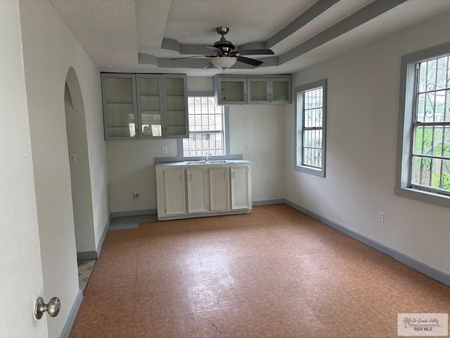 interior space with a tray ceiling, a healthy amount of sunlight, and a sink