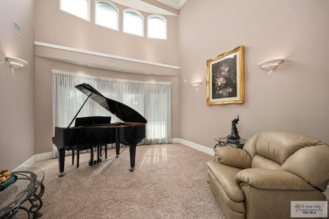 living area with carpet and a high ceiling