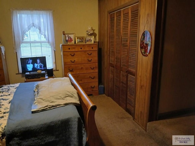 carpeted bedroom featuring a closet