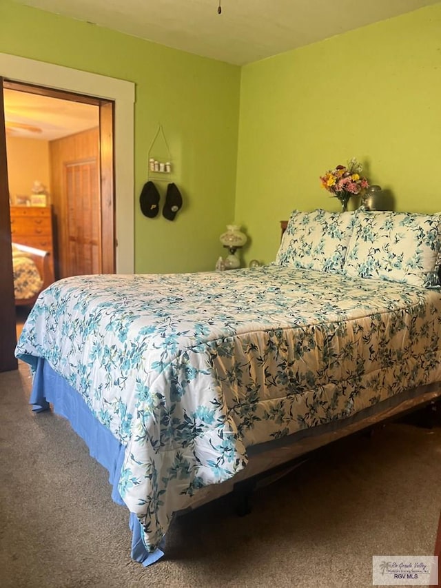 view of carpeted bedroom