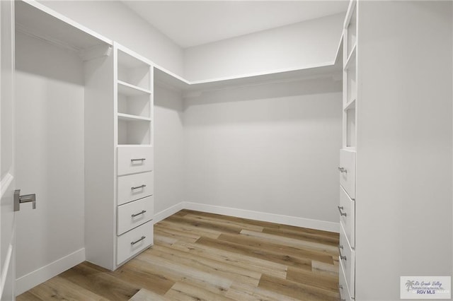 walk in closet with light wood-type flooring