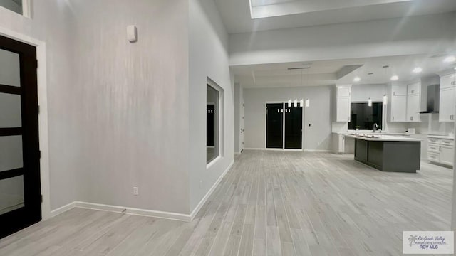 entrance foyer featuring a raised ceiling and light wood-type flooring