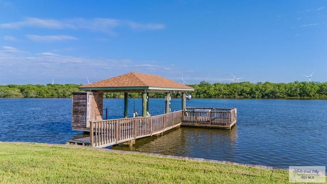 dock area with a water view