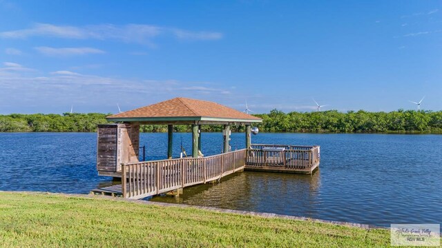 dock area with a water view