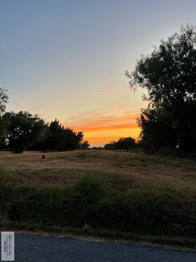 view of yard at dusk