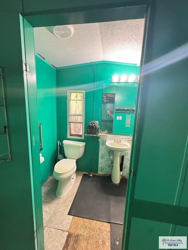38639 Centerline Rd, Los Fresnos, TX 78566 - bathroom with a textured ceiling and lofted ceiling