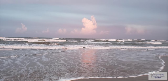 water view with a view of the beach