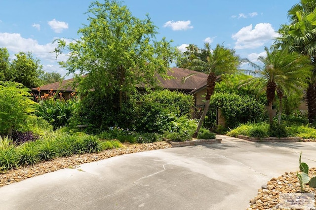 1808 E Palm Valley Dr, Harlingen, TX 78552 - view of front of property with a patio area