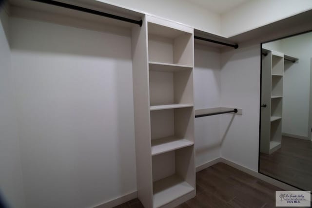 1272 Bridle Way, San Benito, TX 78586 - walk in closet with dark wood finished floors