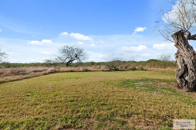 view of yard with a rural view