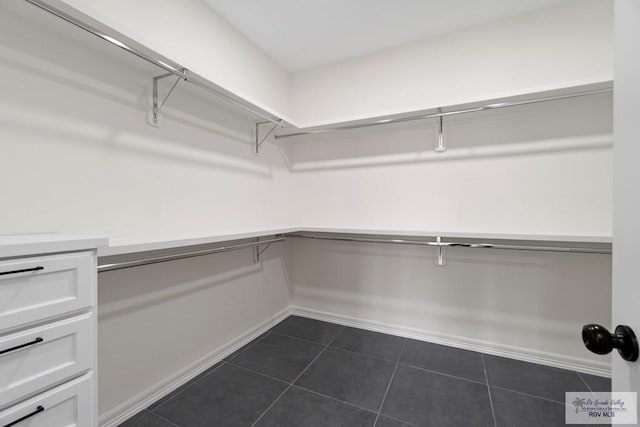 473 Santiago St, La Feria, TX 78559 - walk in closet with dark tile patterned flooring