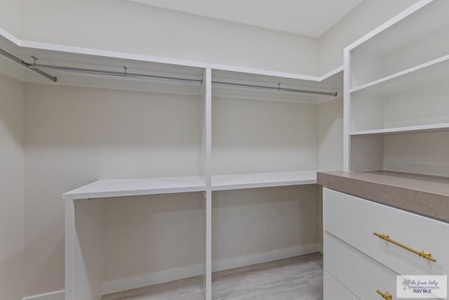 23547 Murphy Ct, Harlingen, TX 78552 - view of walk in closet