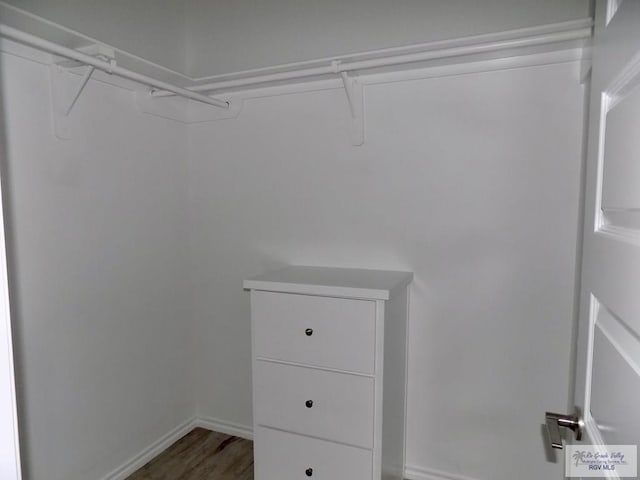 walk in closet featuring hardwood / wood-style flooring