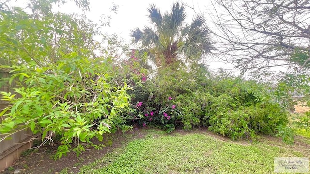 2839 Regency Dr, Brownsville, TX 78526 - view of yard