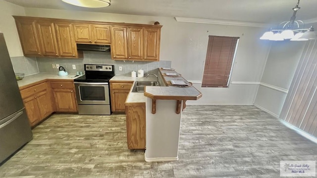 2839 Regency Dr, Brownsville, TX 78526 - kitchen featuring appliances with stainless steel finishes, a sink, a peninsula, under cabinet range hood, and light wood-type flooring