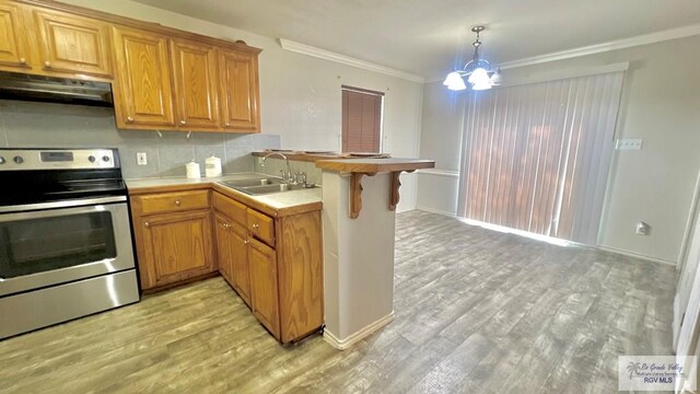 2839 Regency Dr, Brownsville, TX 78526 - kitchen with electric stove, under cabinet range hood, a sink, a peninsula, and light wood-style flooring