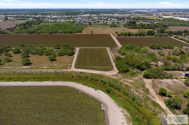 6.28ACRES Paloma Ave, Harlingen, TX 78552 - photo 9