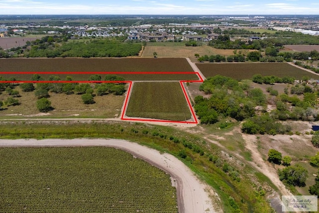 6.28ACRES Paloma Ave, Harlingen, TX 78552 - photo 5