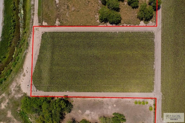 6.28ACRES Paloma Ave, Harlingen, TX 78552 - photo 17