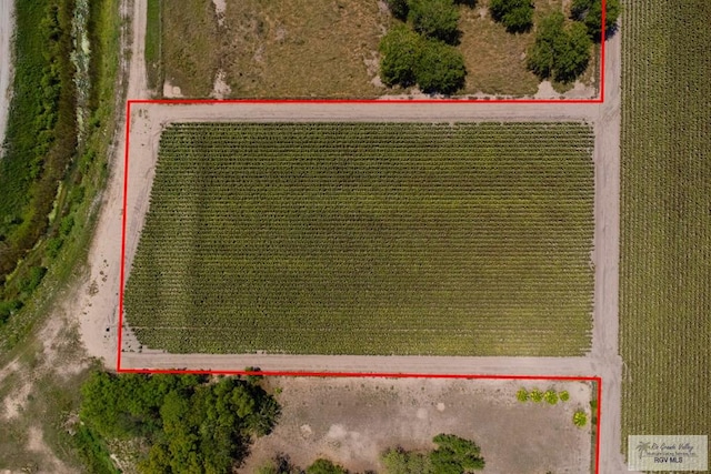 6.28ACRES Paloma Ave, Harlingen, TX 78552 - photo 23
