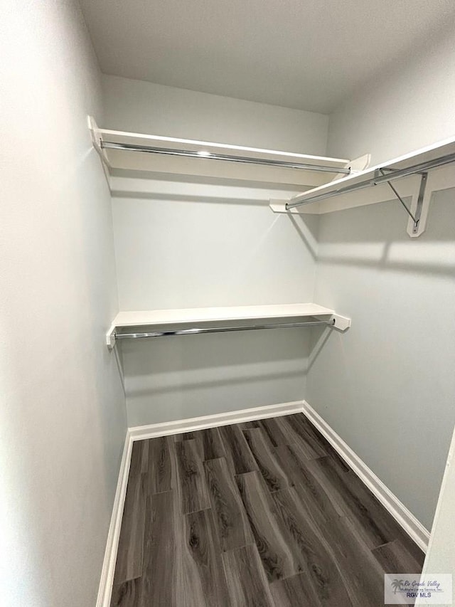 spacious closet featuring dark wood-type flooring