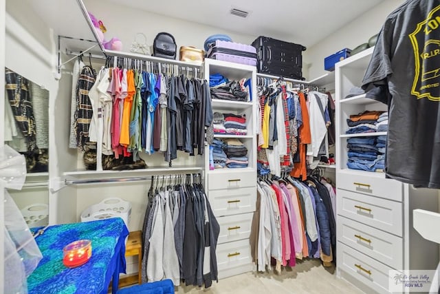 6221 Grapevine Loop, Brownsville, TX 78526 - view of spacious closet