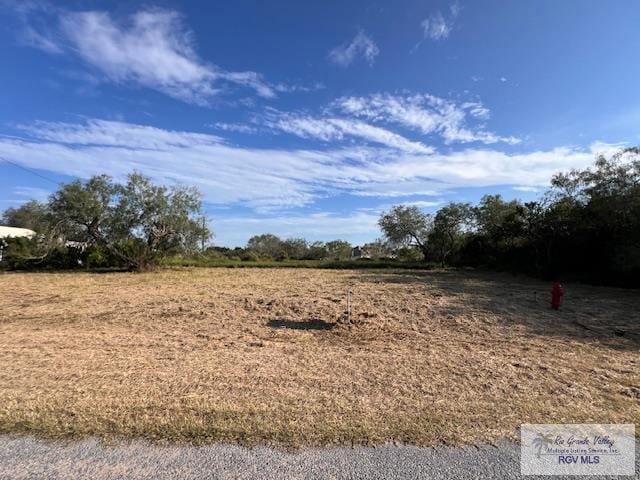 Listing photo 2 for 0 S Arroyo Blvd, Rio Hondo TX 78583