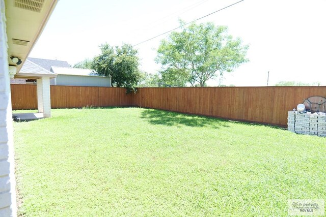 9165 Los Olmos Dr, Los Fresnos, TX 78566 - view of yard