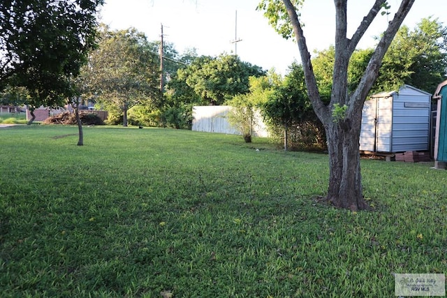 view of yard with a storage shed