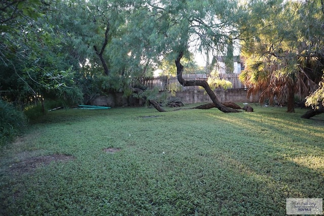 view of yard
