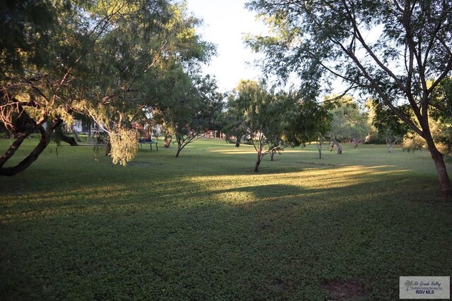 124 Lindale Dr, Brownsville, TX 78521 - photo 80