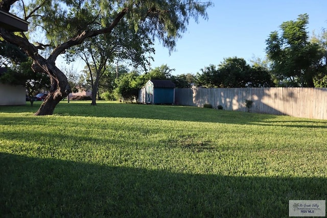 view of yard featuring a shed