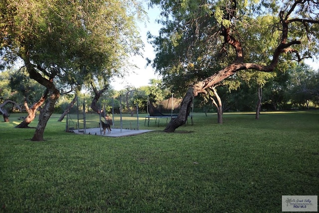 view of property's community with a lawn and a trampoline