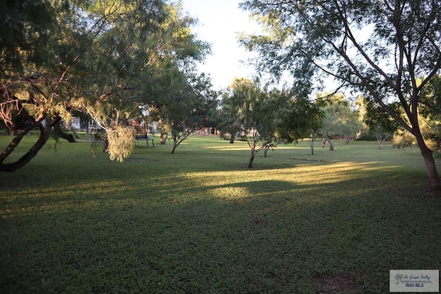 surrounding community featuring a lawn