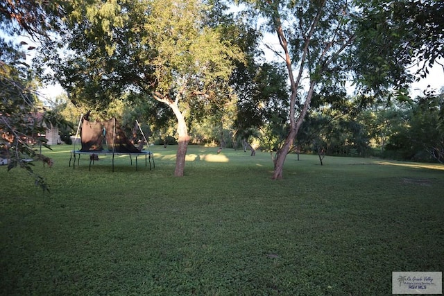 view of yard featuring a trampoline