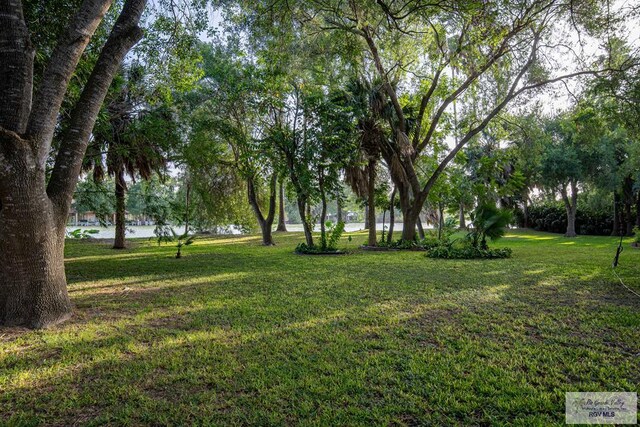 view of yard featuring a water view