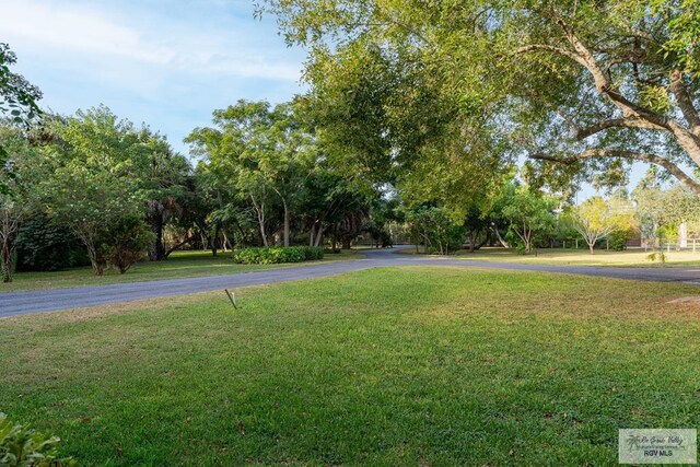 exterior space with a lawn