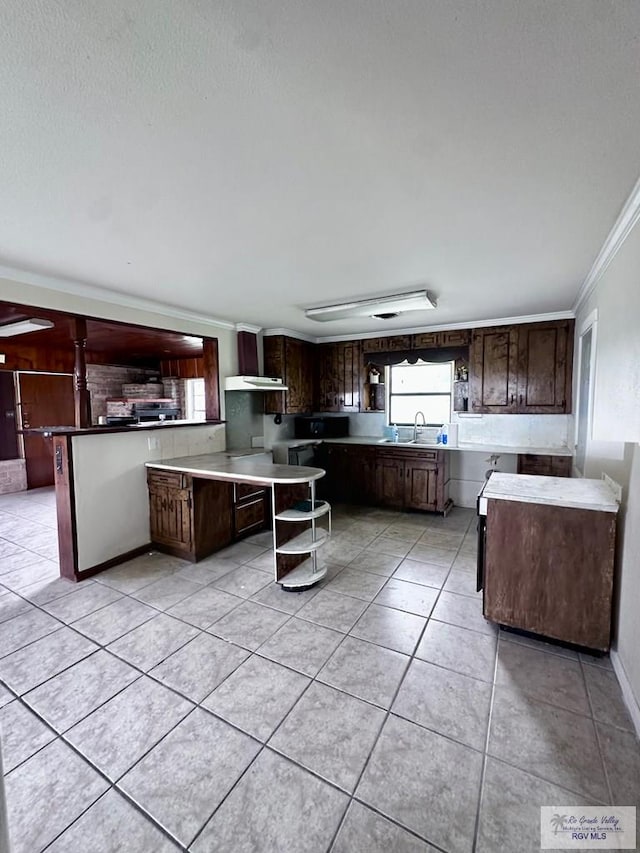 12776 State Highway 186, Raymondville, TX 78580 - kitchen featuring open shelves, crown molding, light tile patterned floors, a sink, and dark brown cabinetry