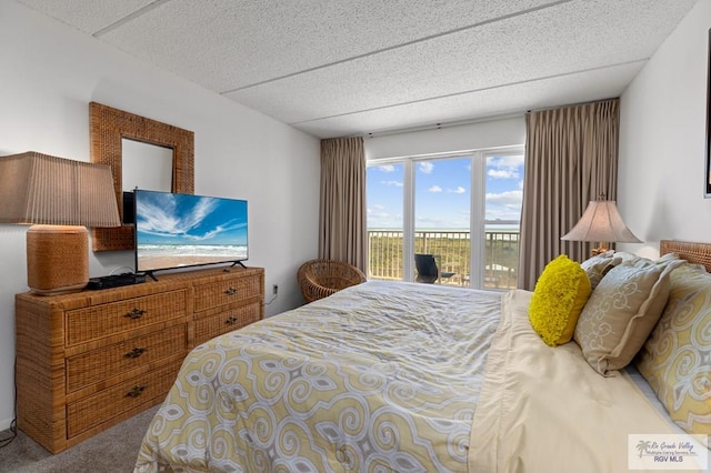 bedroom featuring carpet floors and access to outside