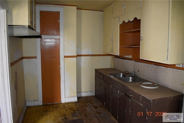 kitchen featuring sink and dark brown cabinetry