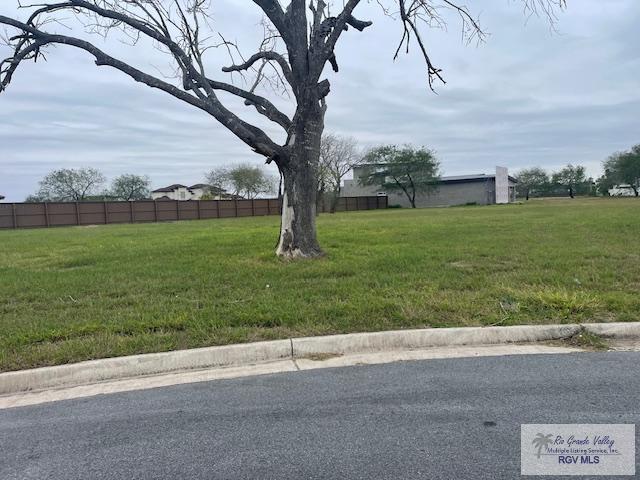 00 Lampasitos Ct, Brownsville TX, 78520 land for sale