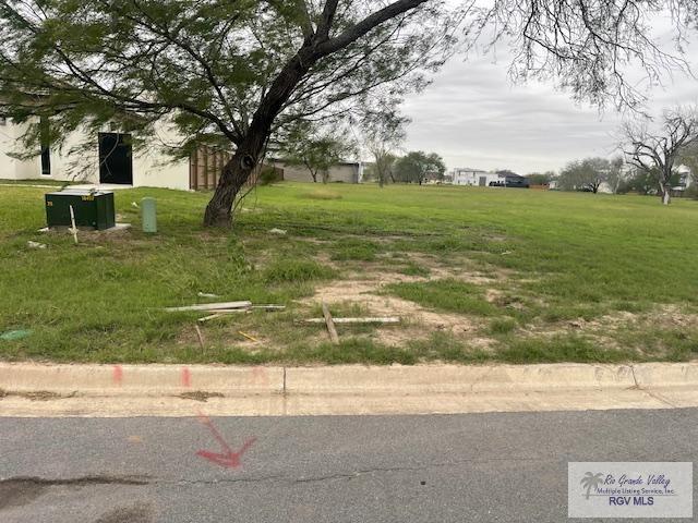 Listing photo 2 for 00 Lampasitos Ct, Brownsville TX 78520