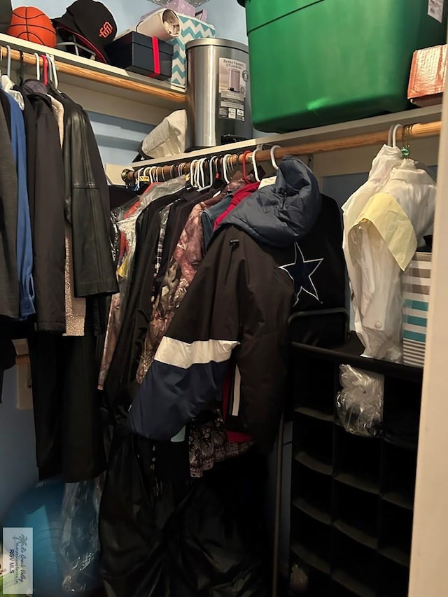 view of walk in closet